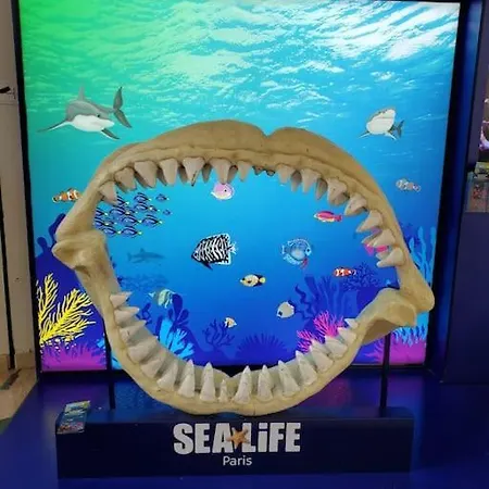 Luxury Appartement Serris