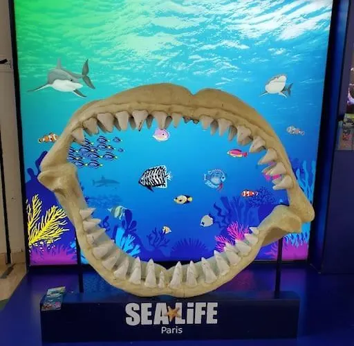 Luxury 아파트 세리스